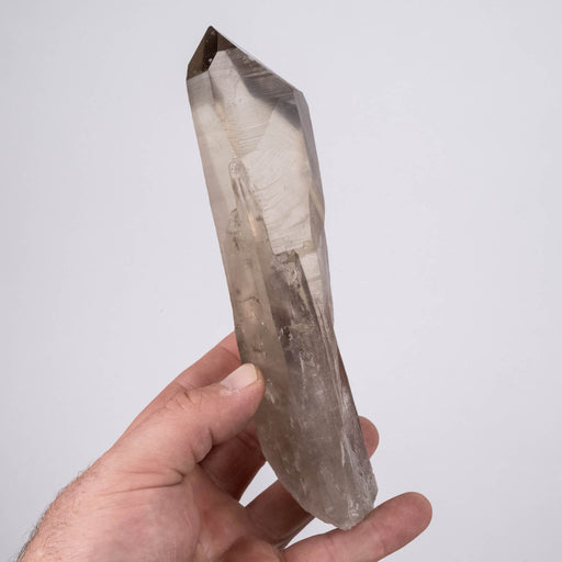 Smoky Lemurian Seed Crystal 566 g 180x60mm - InnerVision Crystals