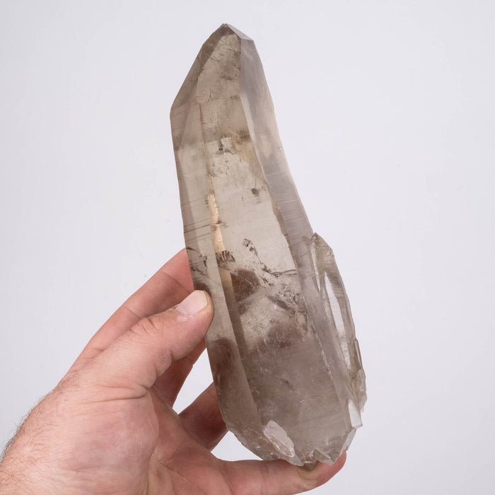 Smoky Lemurian Seed Crystal 868 g 197x62mm DT - InnerVision Crystals