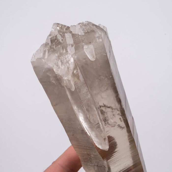 Smoky Lemurian Seed Crystal 868 g 197x62mm DT - InnerVision Crystals