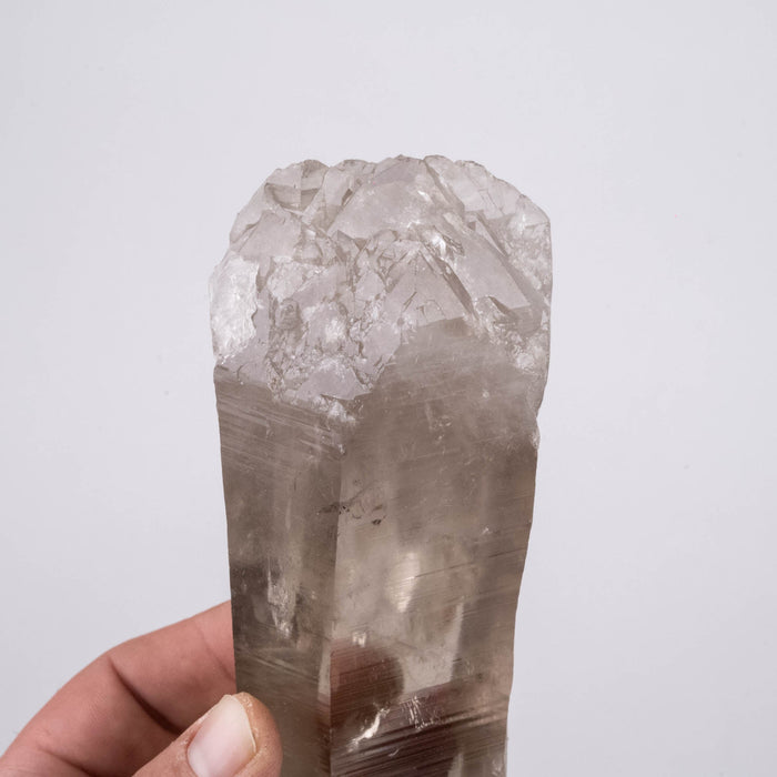 Smoky Lemurian Seed Crystal 868 g 197x62mm DT - InnerVision Crystals