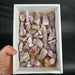 Spirit Quartz 1 Kilo WHOLESALE - InnerVision Crystals