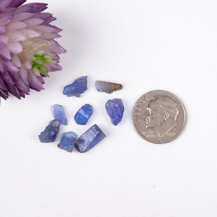 Tanzanite Crystals 10 ct Lot - InnerVision Crystals