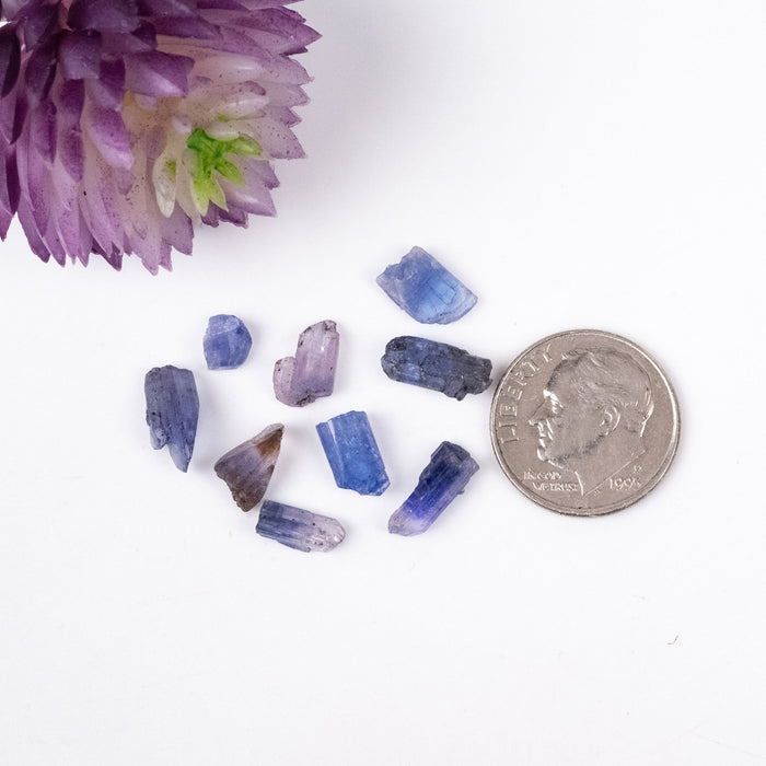 Tanzanite Crystals 10 ct Lot - InnerVision Crystals
