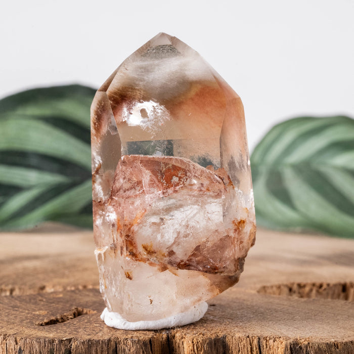 Amphibole | Angel Phantom Quartz 23.68 g 44x24mm - InnerVision Crystals