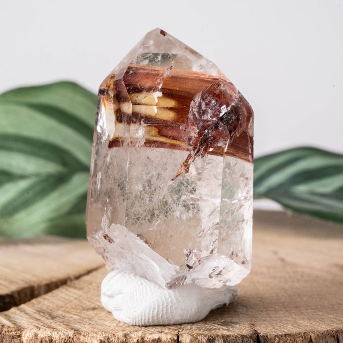 Amphibole | Angel Phantom Quartz 36 g 44x27mm - InnerVision Crystals