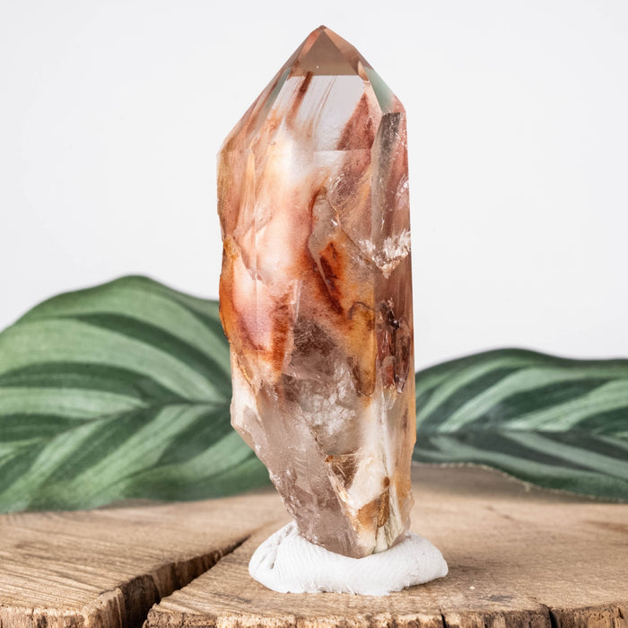 Amphibole | Angel Phantom Quartz 38 g 66x22mm - InnerVision Crystals