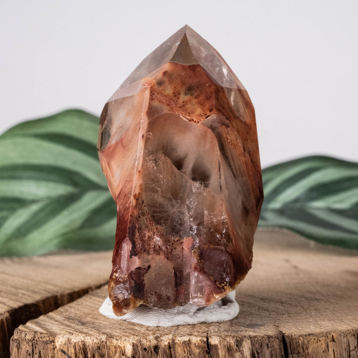 Amphibole | Angel Phantom Quartz 49 g 50x28mm - InnerVision Crystals