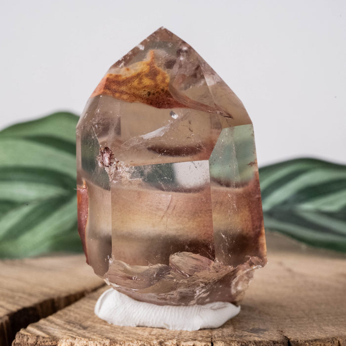 Amphibole | Angel Phantom Quartz 50 g 51x30mm - InnerVision Crystals