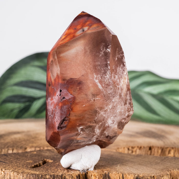 Amphibole | Angel Phantom Quartz 51.99 g 55x30mm - InnerVision Crystals