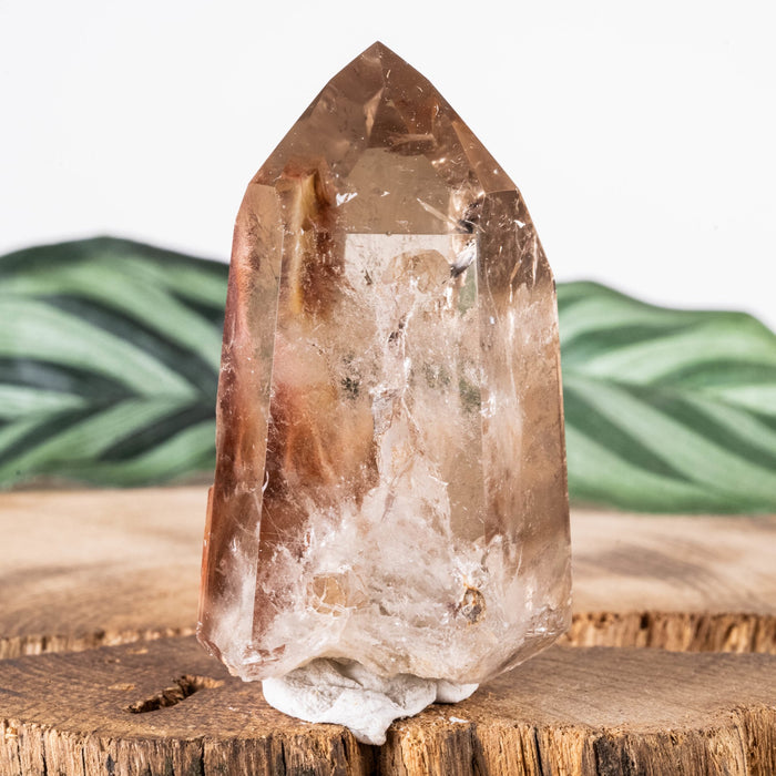 Amphibole | Angel Phantom Quartz 60.36 g 55x32mm - InnerVision Crystals