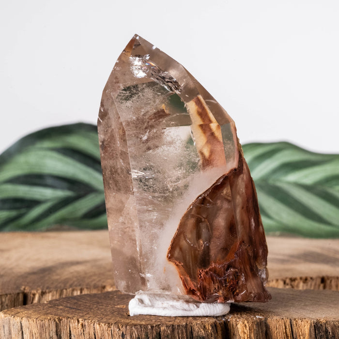 Amphibole | Angel Phantom Quartz 61.90 g 60x32mm - InnerVision Crystals