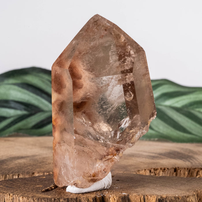 Amphibole | Angel Phantom Quartz 65.92 g 56x34mm - InnerVision Crystals