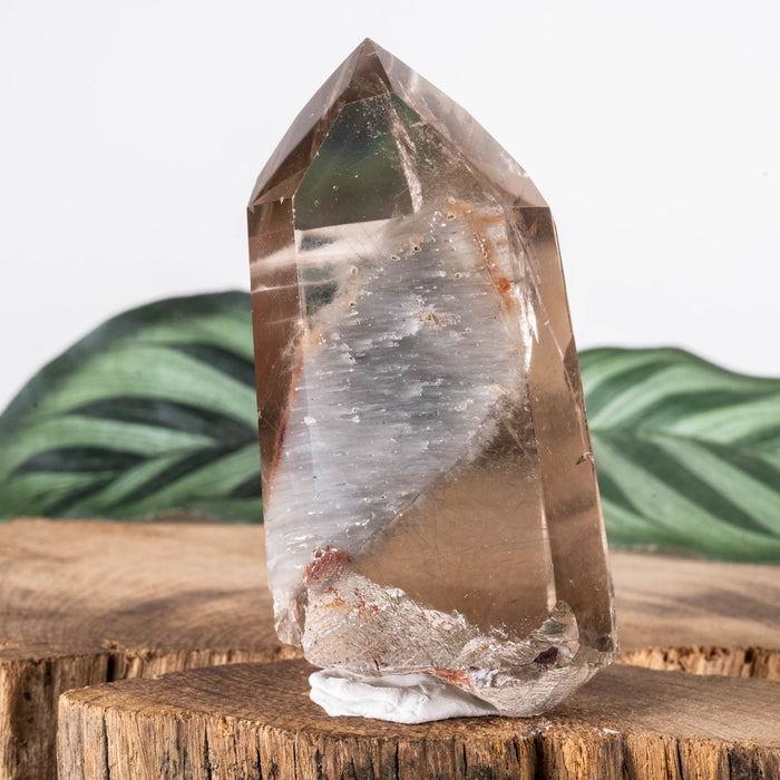 Amphibole | Angel Phantom Quartz 82.16 g 66x33mm - InnerVision Crystals