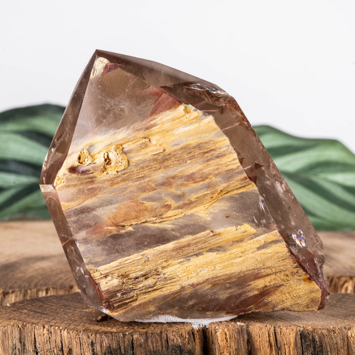 Amphibole | Angel Phantom Quartz 82.84 g 63x46mm - InnerVision Crystals