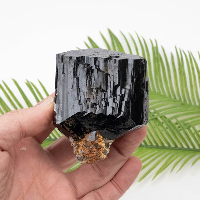 Black Tourmaline 473 g 81x65mm - InnerVision Crystals