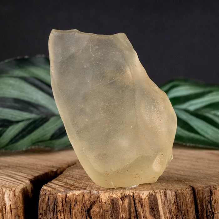 Libyan Desert Glass 30.39 g 51x31x17mm - InnerVision Crystals