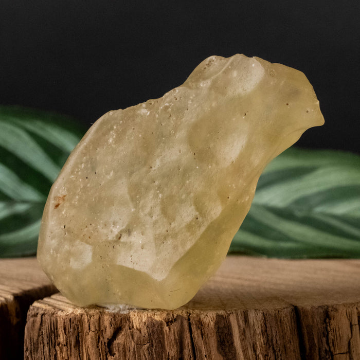 Libyan Desert Glass 34.52 g 54x30x22mm - InnerVision Crystals