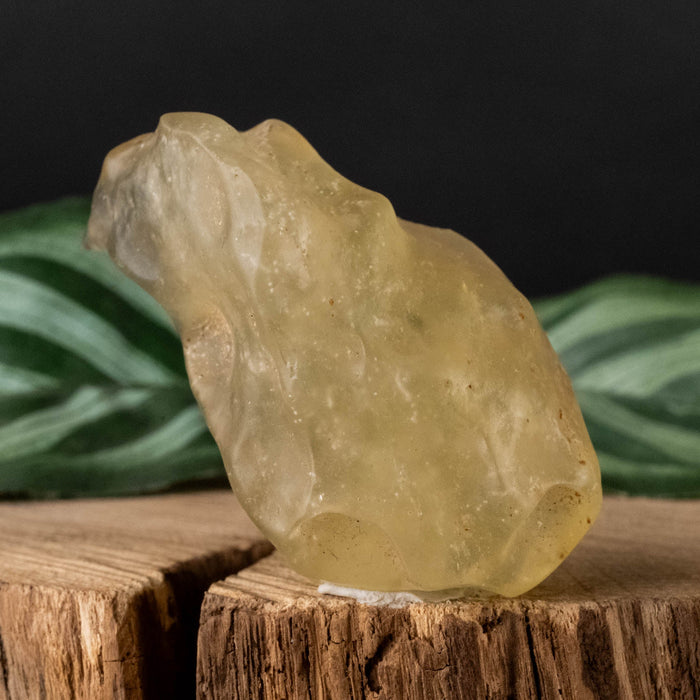 Libyan Desert Glass 34.52 g 54x30x22mm - InnerVision Crystals